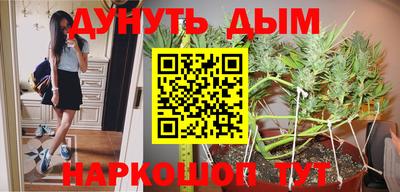 jwh Дмитров