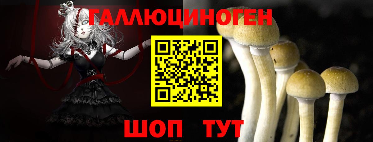 Галлюциногенные грибы Magic Shrooms Выкса