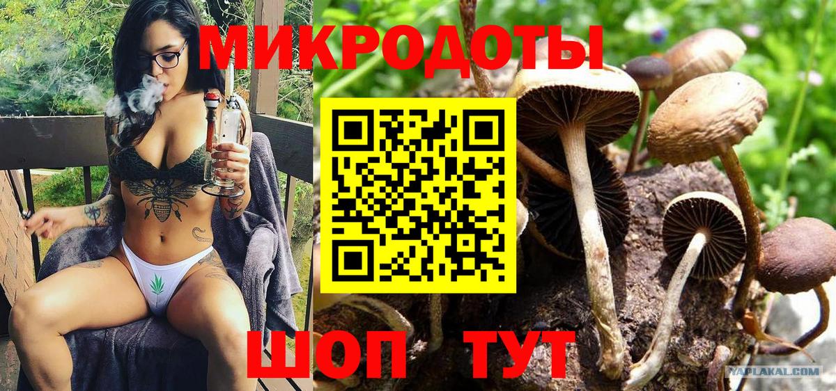 Выкса  Псилоцибиновые грибы MAGIC MUSHROOMS  Вход с VPN 